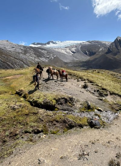 WhatsApp Image 2024-12-17 at 11.16.53 (1)