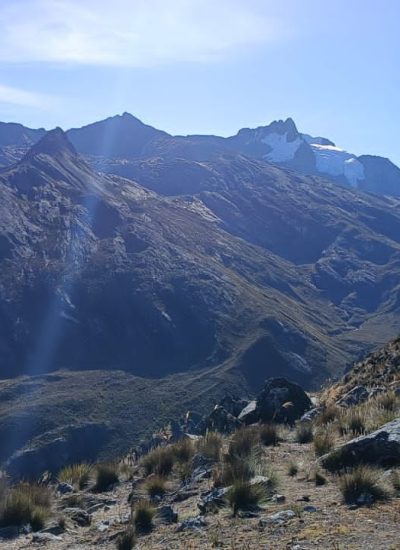 WhatsApp Image 2024-12-17 at 11.16.53