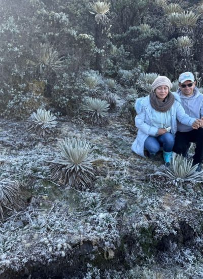 WhatsApp Image 2024-12-17 at 11.22.21